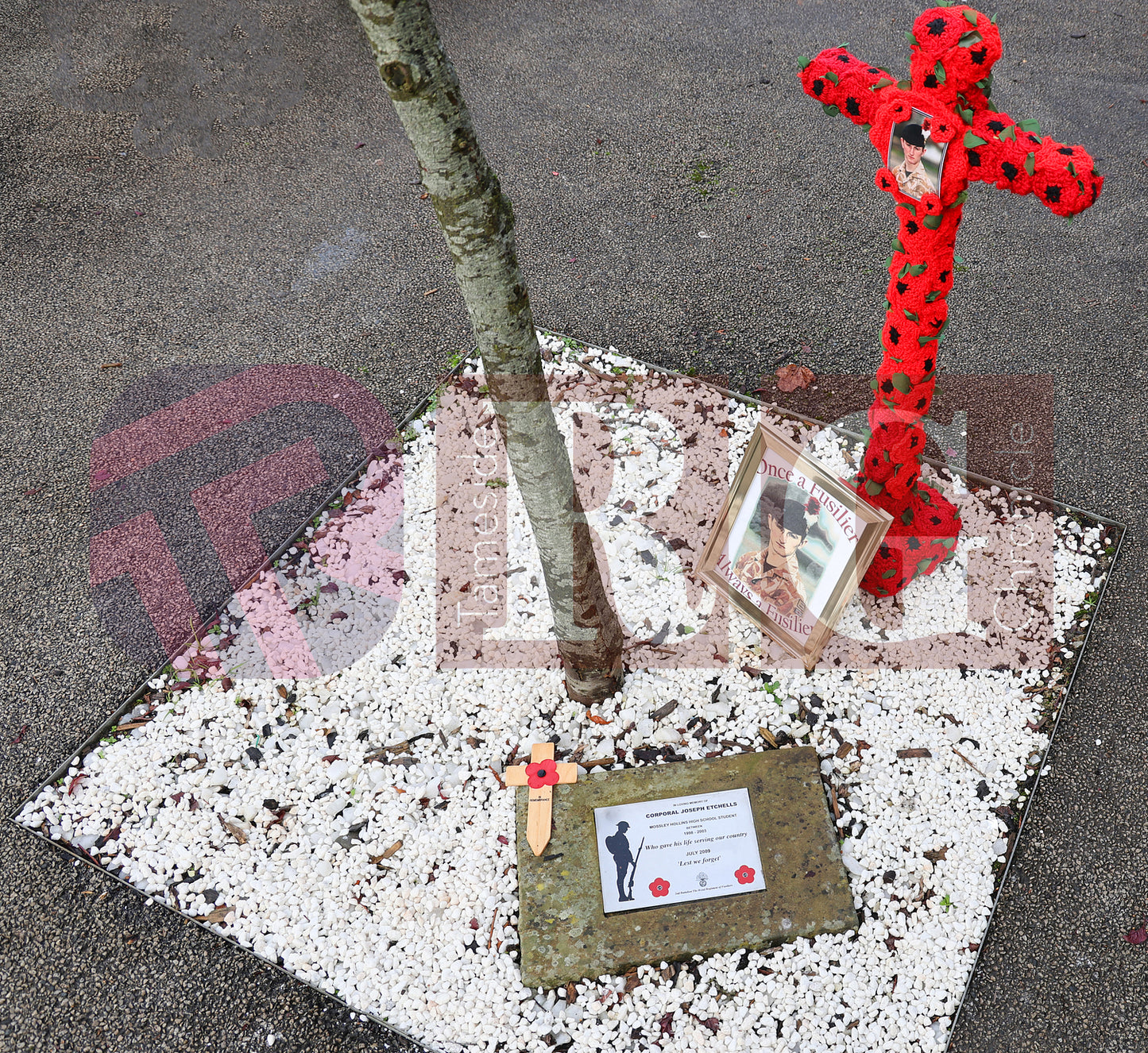 ARMISTICE DAY MOSSLEY HOLLINS 2024 (7).JPG