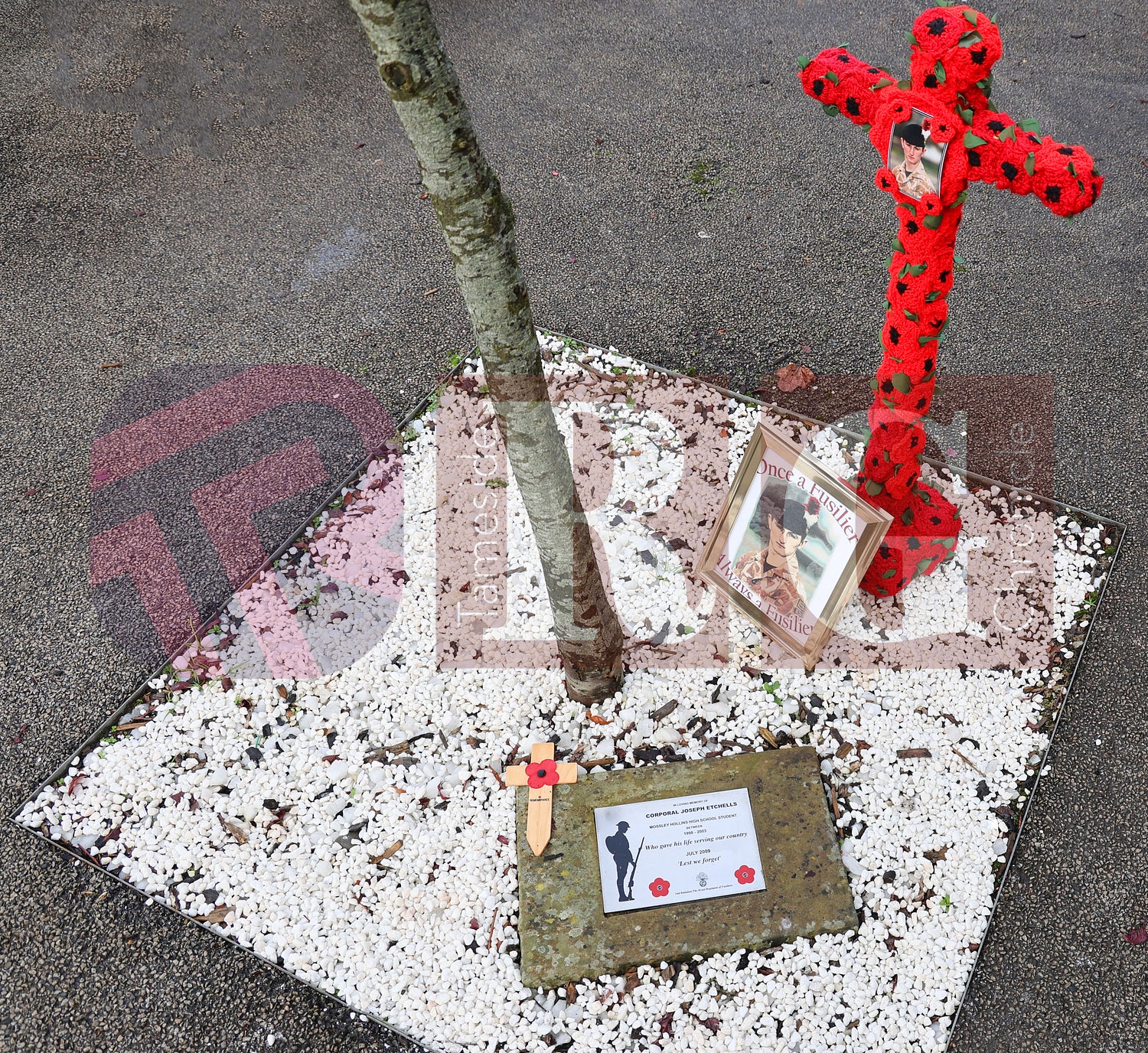 ARMISTICE DAY MOSSLEY HOLLINS 2024 (7).JPG