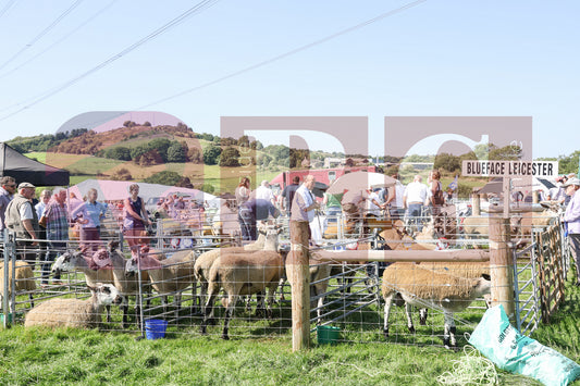 MOTTRAM SHOW  2025 (48).JPG