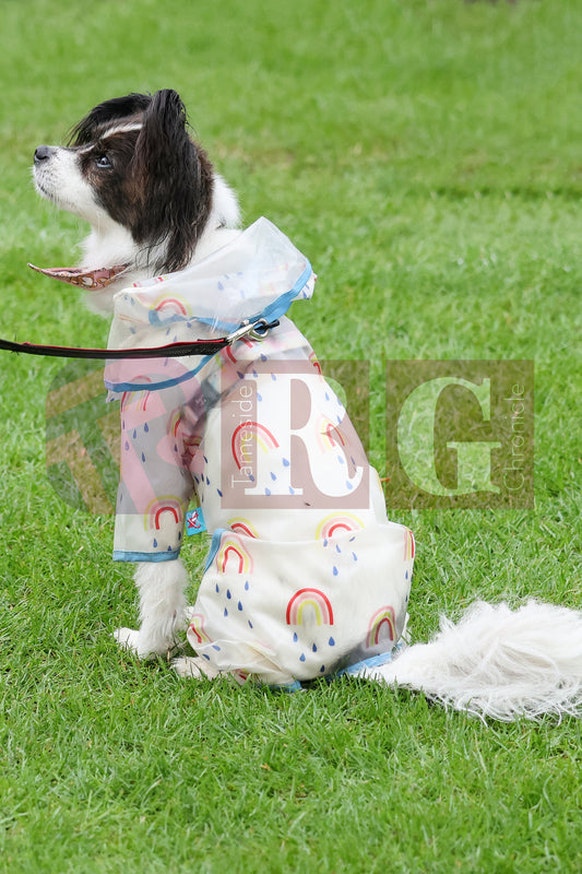 MOSSLEY 10K 2025 (29).JPG