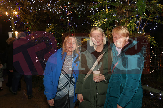 WILLOW WOOD LIGHTS 2024 (23).JPG