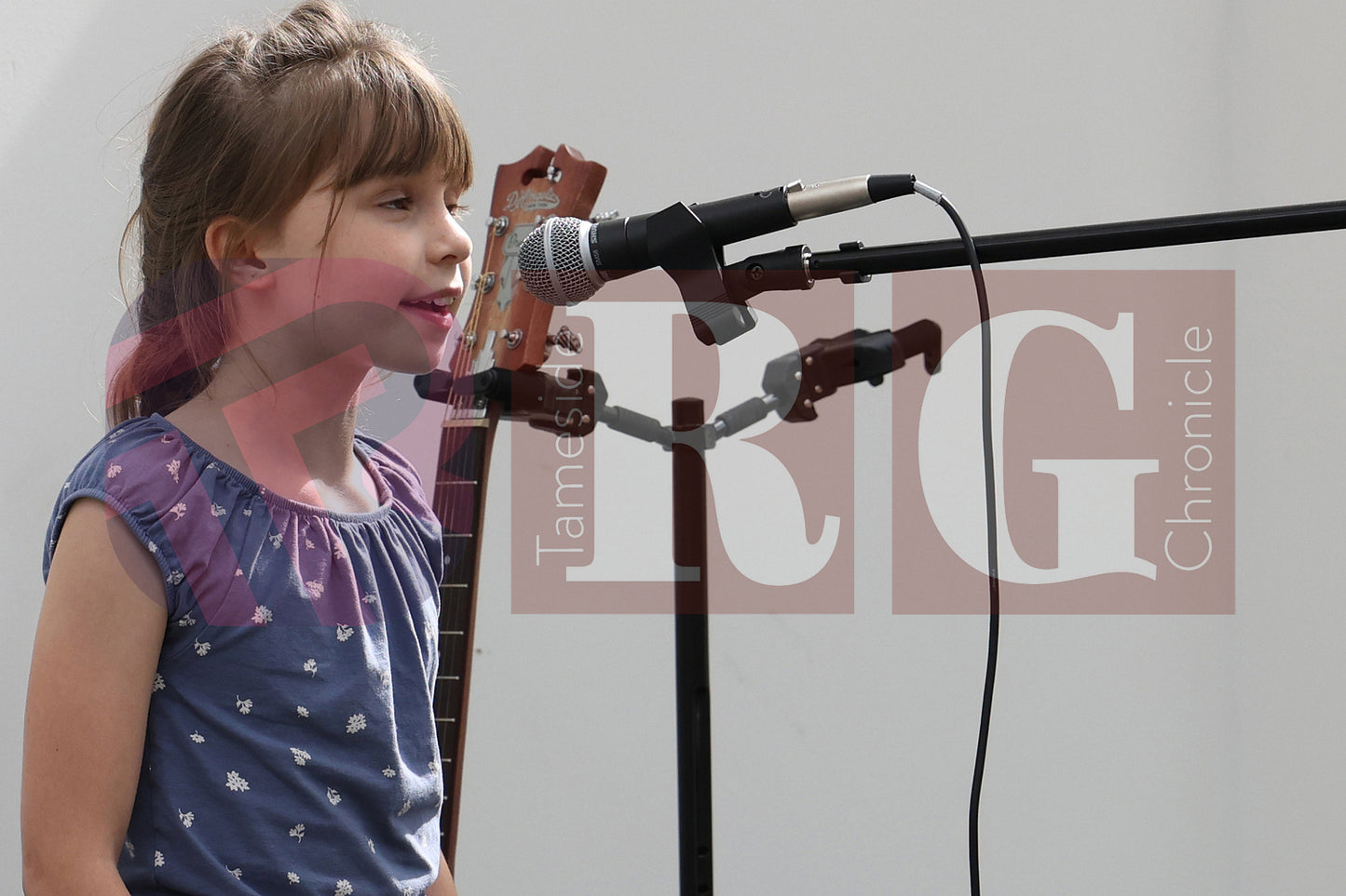 BRIDGE FEST 2025 (39).JPG
