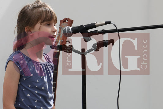 BRIDGE FEST 2025 (39).JPG