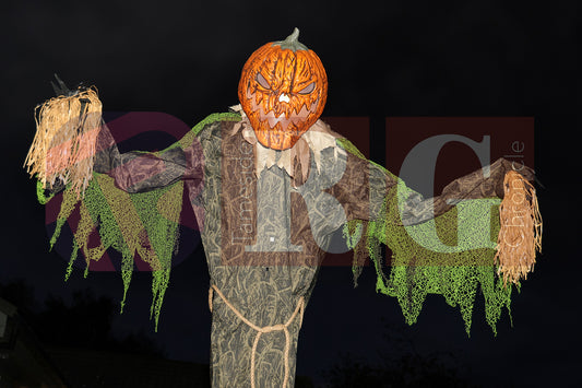 HALLOWEEN WATERLOO PARK (63).JPG