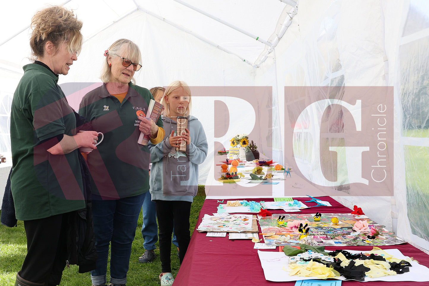 SEXTON STREET TINTWISTLE VILLAGE SHOW 2024 (35).JPG