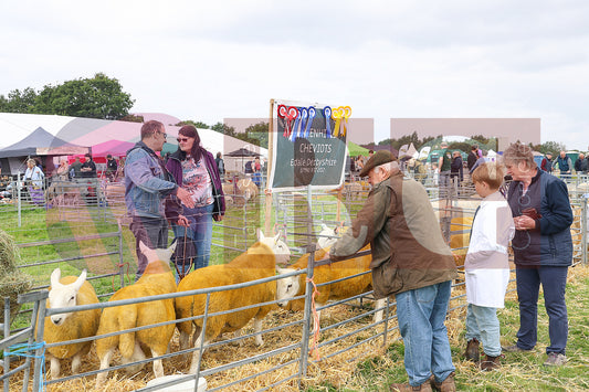 MOTTRAM SHOW 2024 (140).JPG