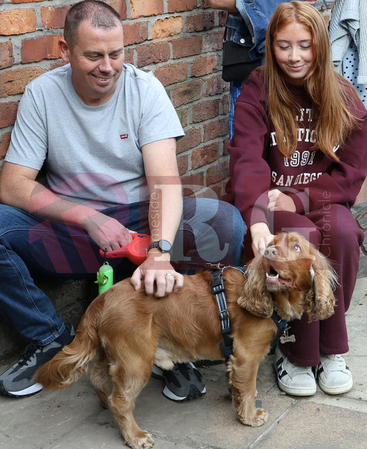 BRIDGE FEST 2025 (71).JPG