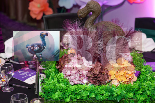 PURPLE HEART WISHES WONDERLAND BALL (25).JPG