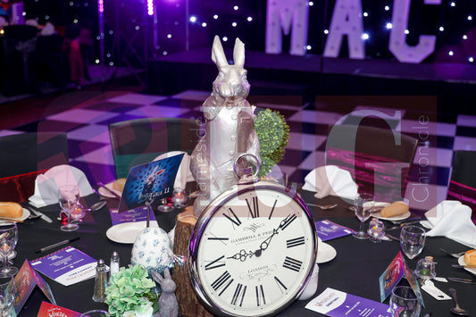 PURPLE HEART WISHES WONDERLAND BALL (30).JPG