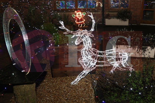 WILLOW WOOD LIGHTS 2024 (27).JPG