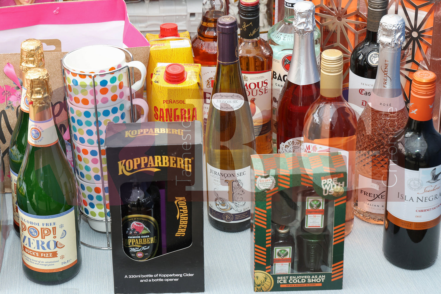 BLOOM FUN DAY HYDE (6).JPG