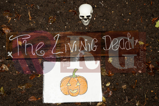 HALLOWEEN PARTY AT BLOOM HYDE (32).JPG