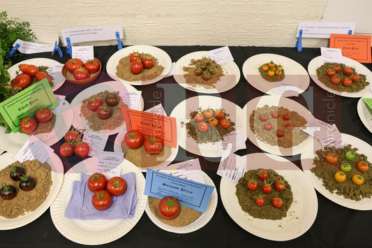 TINTWISTLE GARDENERS SHOW (23).JPG