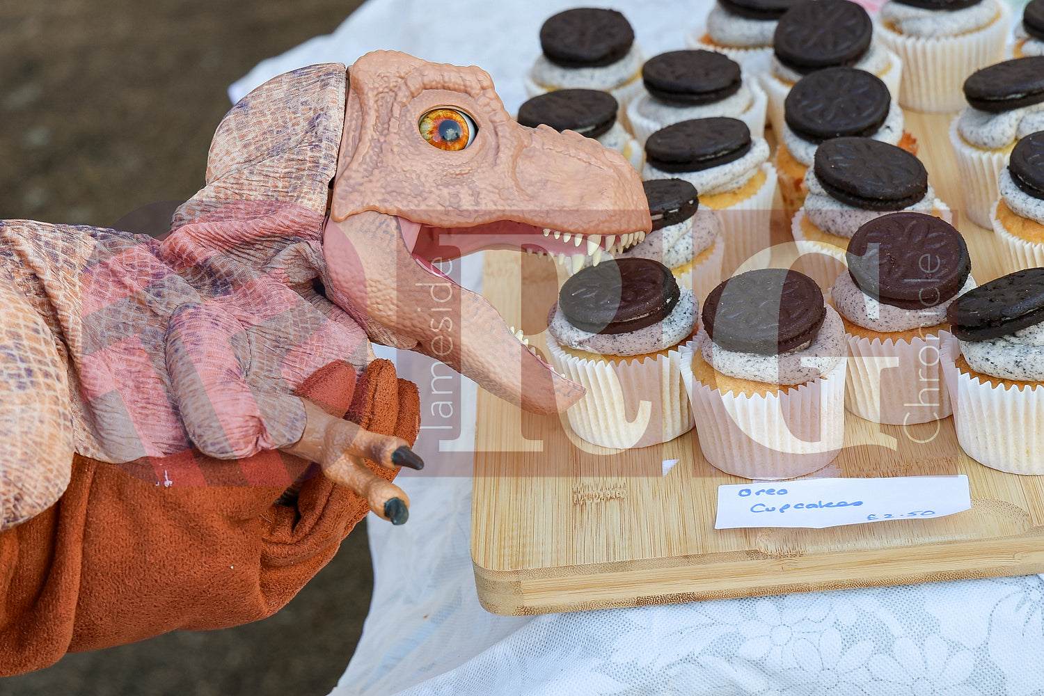 MOSSLEY FARMERS MARKET (26).JPG