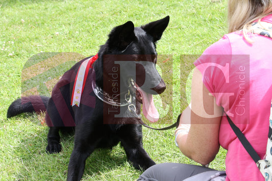 GEE CROSS FETE 2025 (60).JPG