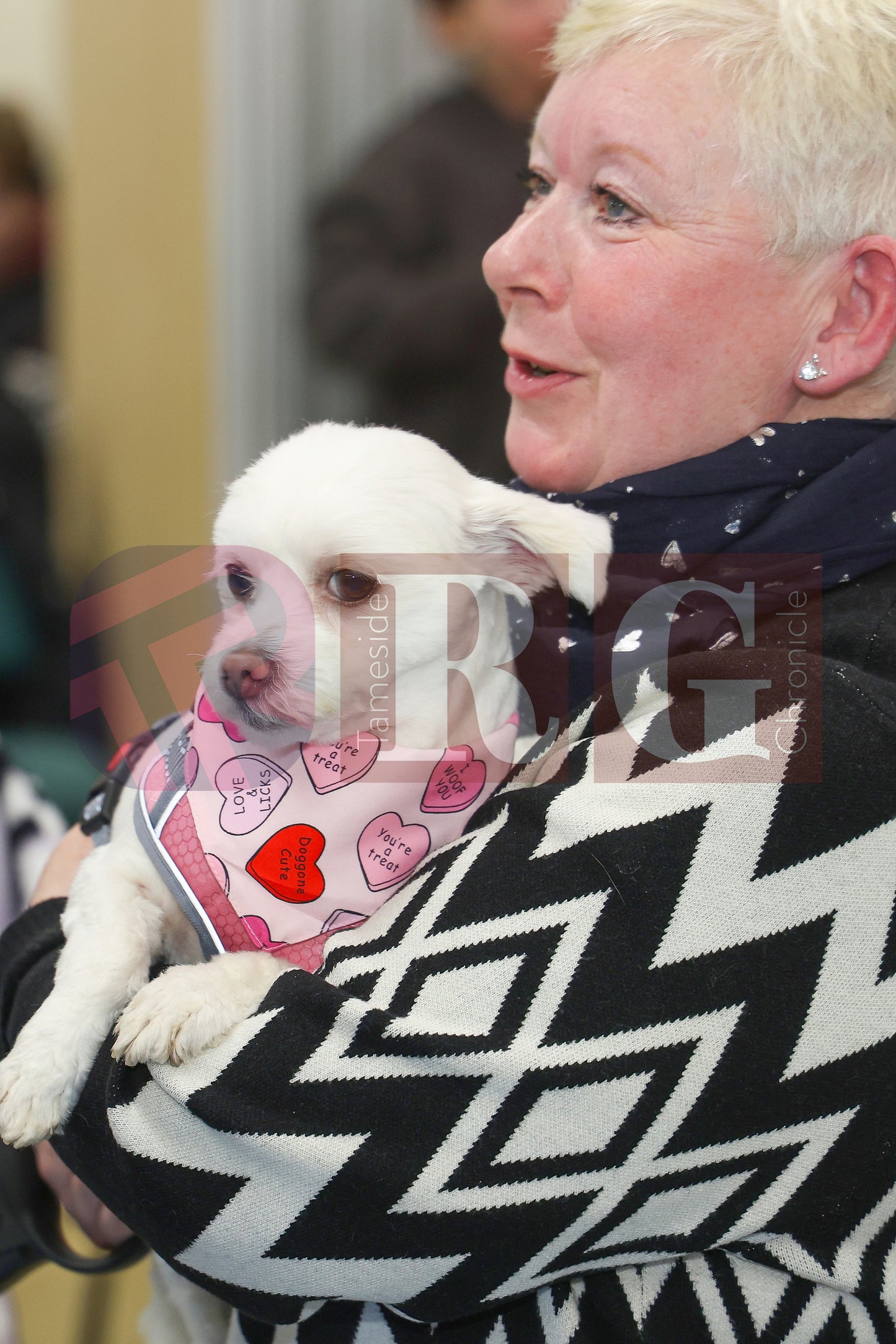 CRIMEWATCHERS DOG SHOW ST MARTINS CHURCH DROYLSDEN  (71).JPG