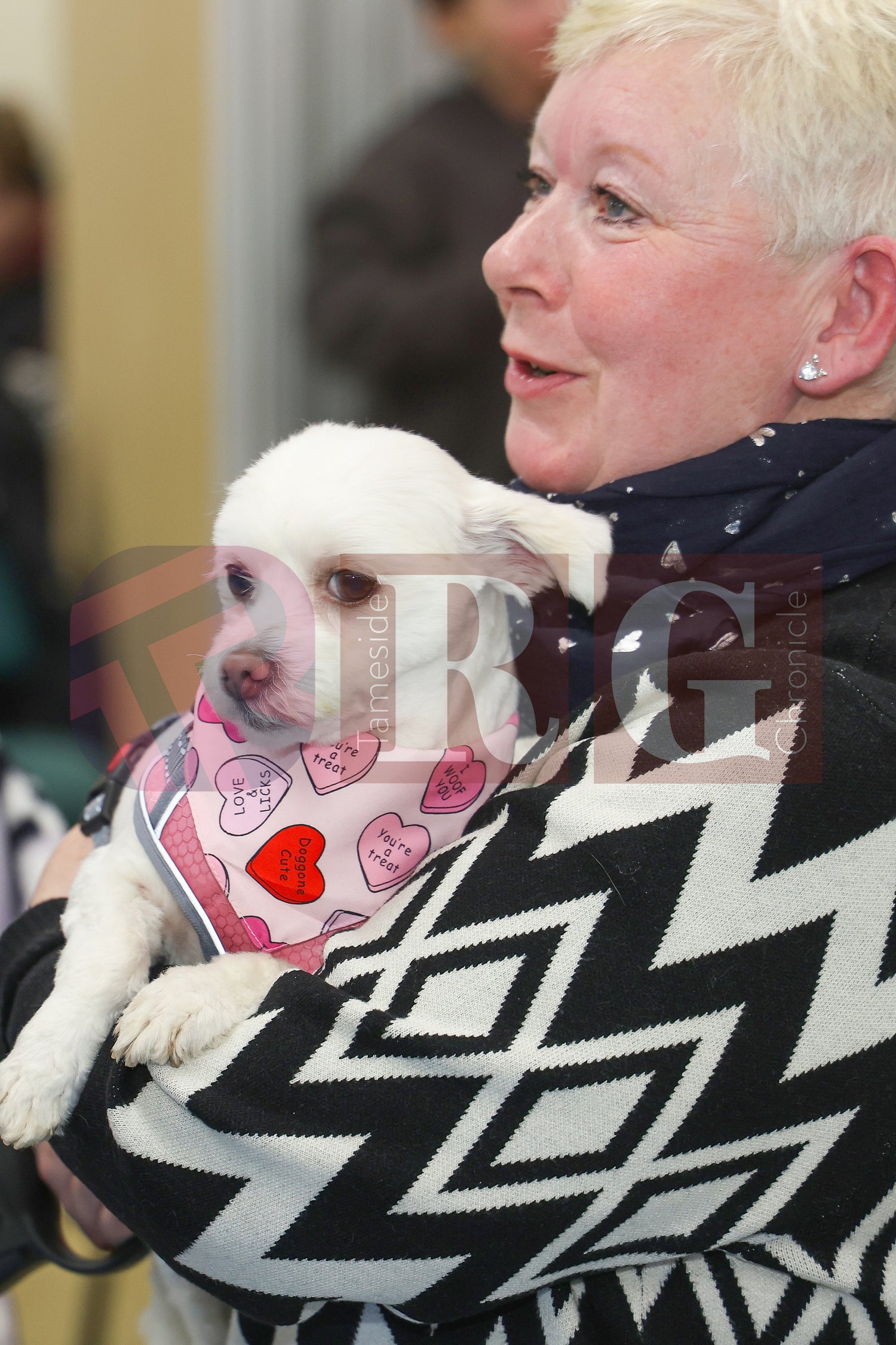 CRIMEWATCHERS DOG SHOW ST MARTINS CHURCH DROYLSDEN  (71).JPG