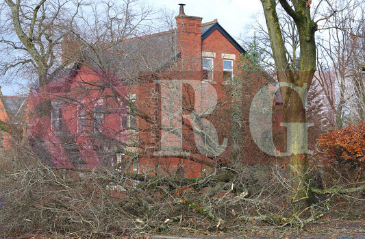 STORM CLAUDIA MOTTRAM ROAD 2025  (4).JPG