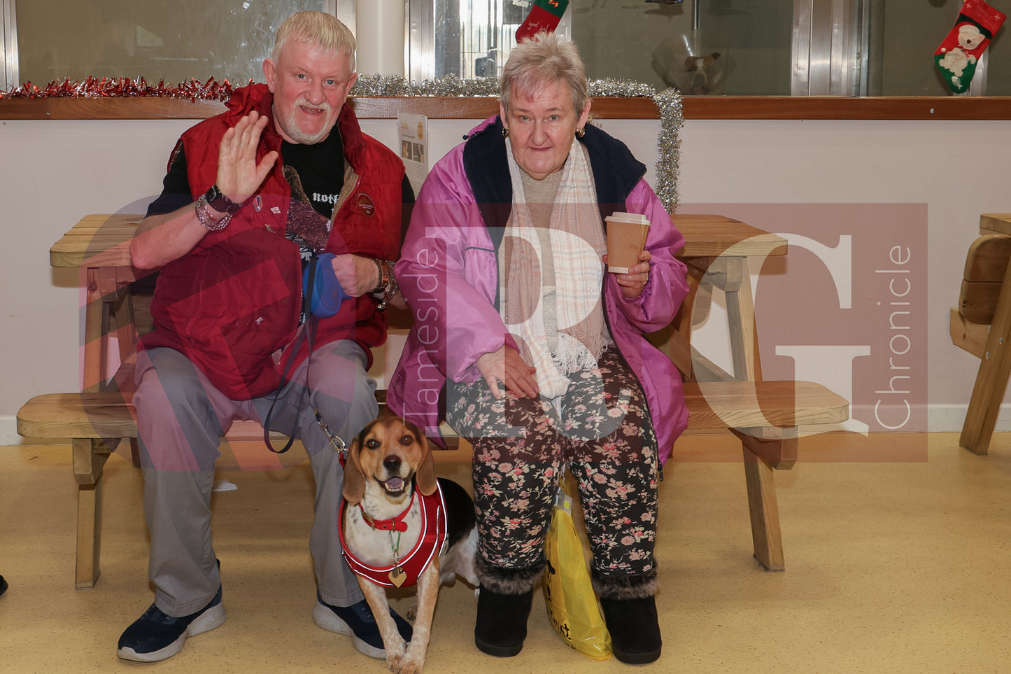 DOG TRUST DENTON XMAS (45).JPG