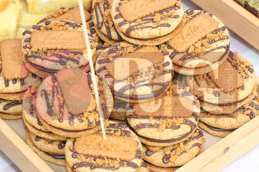 FESTIVAL ON THE GREEN 2025 (9).JPG