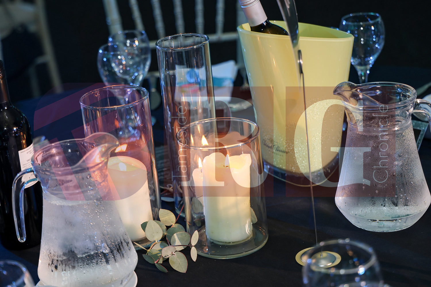 GREAT MINDS TOGETHER CHARITY BALL (124).JPG