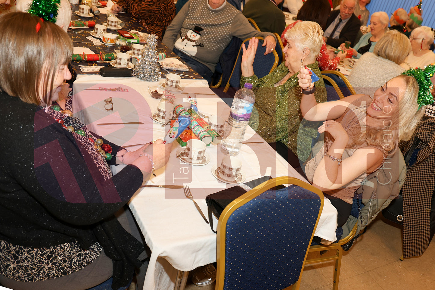 GRAFTON CHRISTMAS LUNCHES HYDE (45).JPG