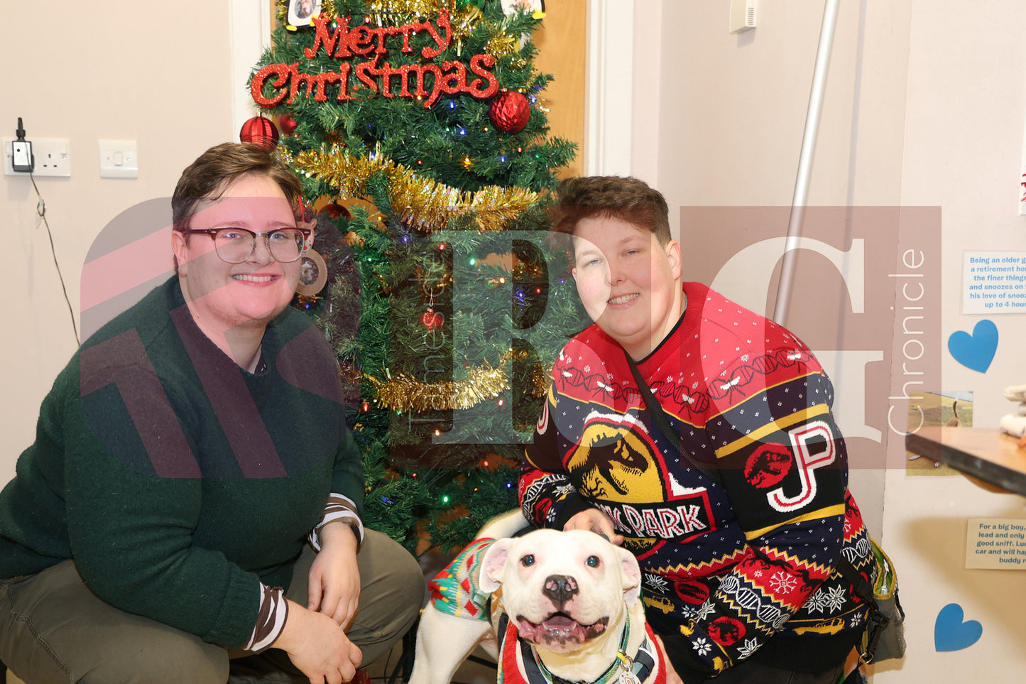 DOG TRUST DENTON XMAS (11).JPG