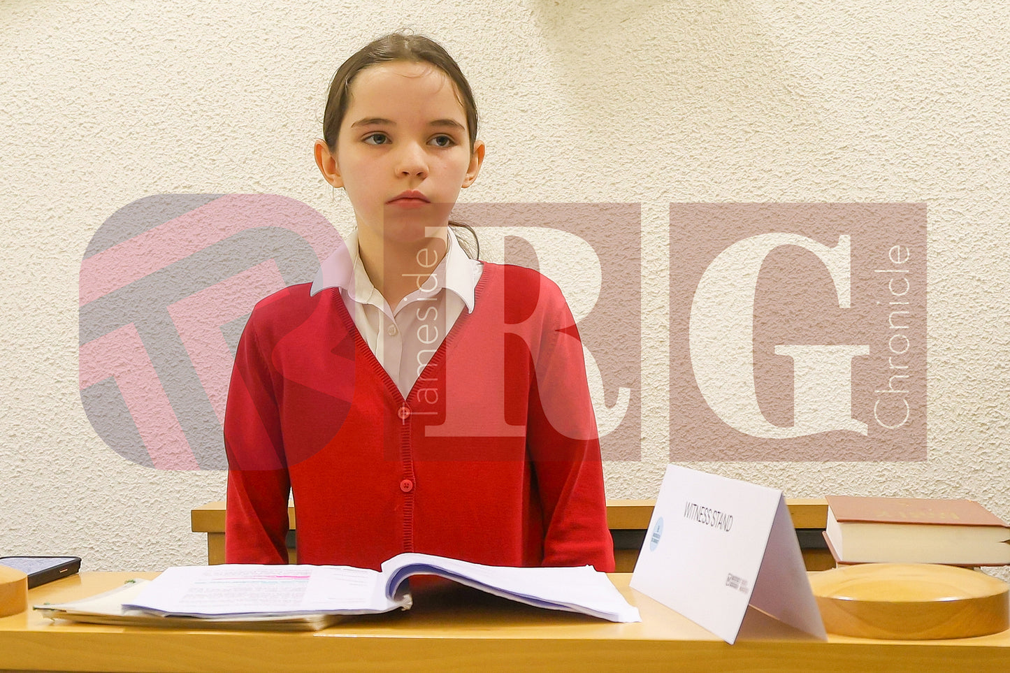 TAMESIDE MAGISTRATES MOCK TRIAL (12).JPG