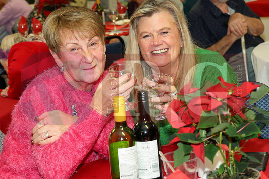 HATTERSLEY FORUM PENSIONERS PARTY 2025  (16).JPG