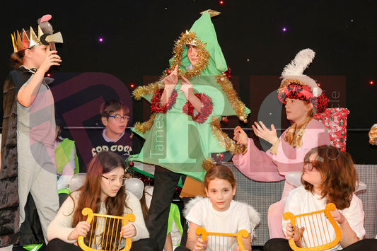 STALYBRIDGE CIVIC HALL SCHOOL PANTOMIME (73).JPG