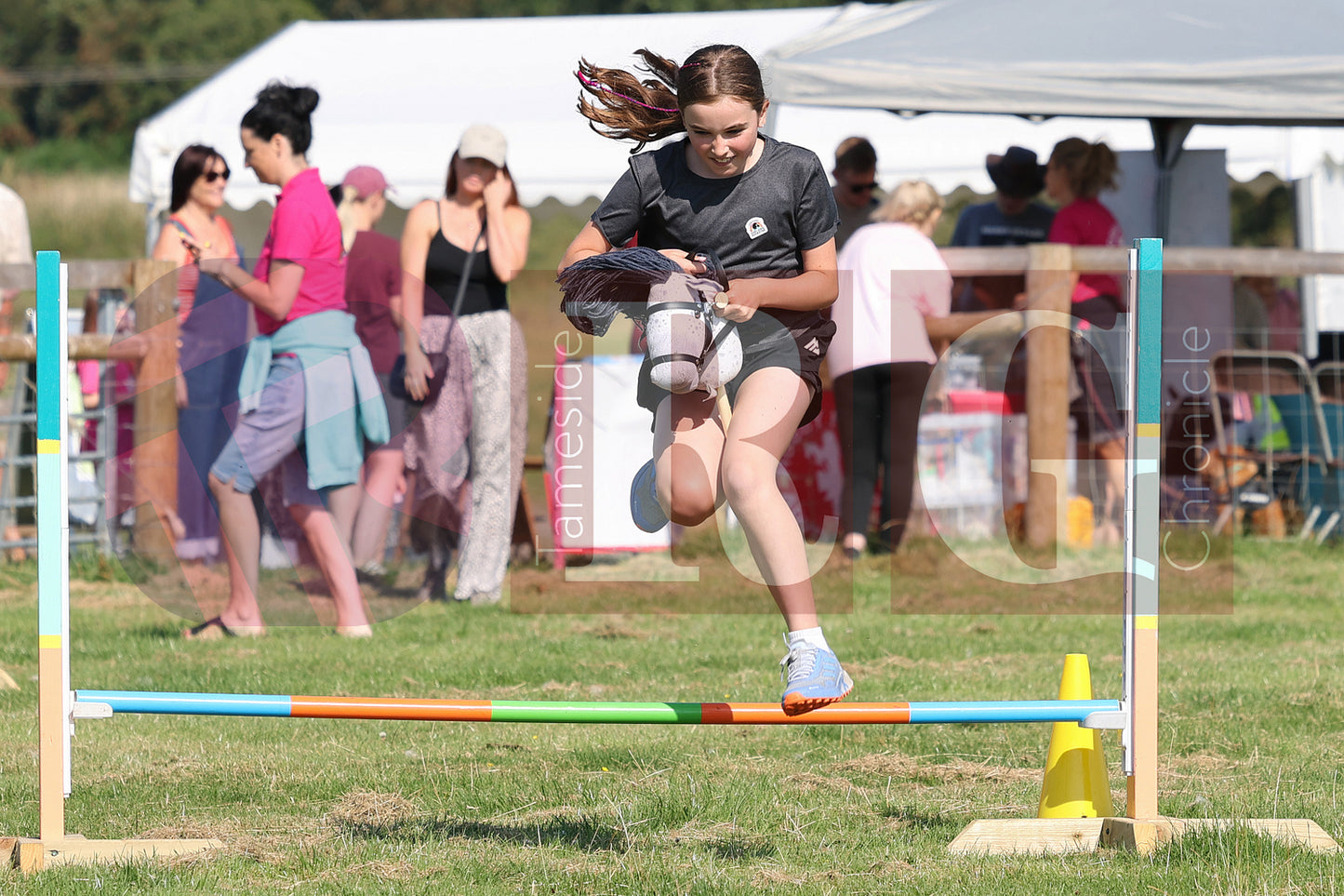 MOTTRAM SHOW  2025 (167).JPG