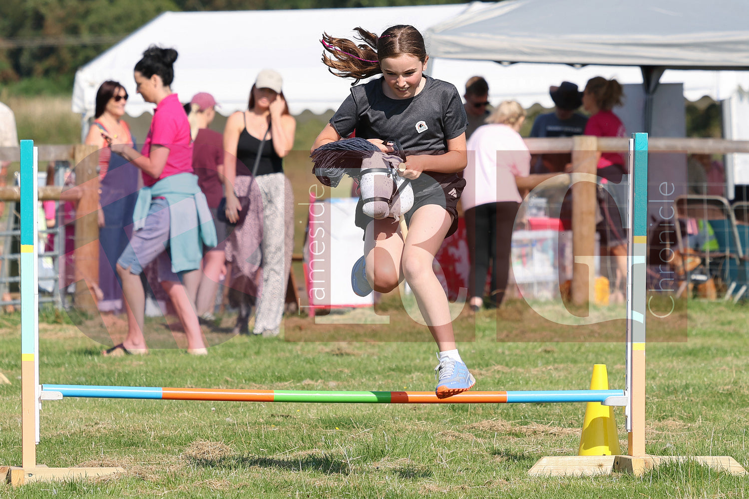 MOTTRAM SHOW  2025 (167).JPG