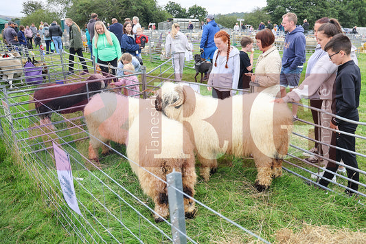 MOTTRAM SHOW 2024 (71).JPG