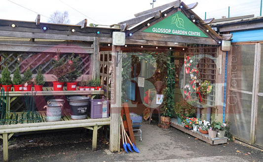 GLOSSOP SHOP XMAS WINDOWS 2024 (3).JPG