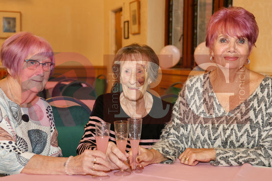 CIVIC MAYOR'S AFTERNOON TEA  (6).JPG