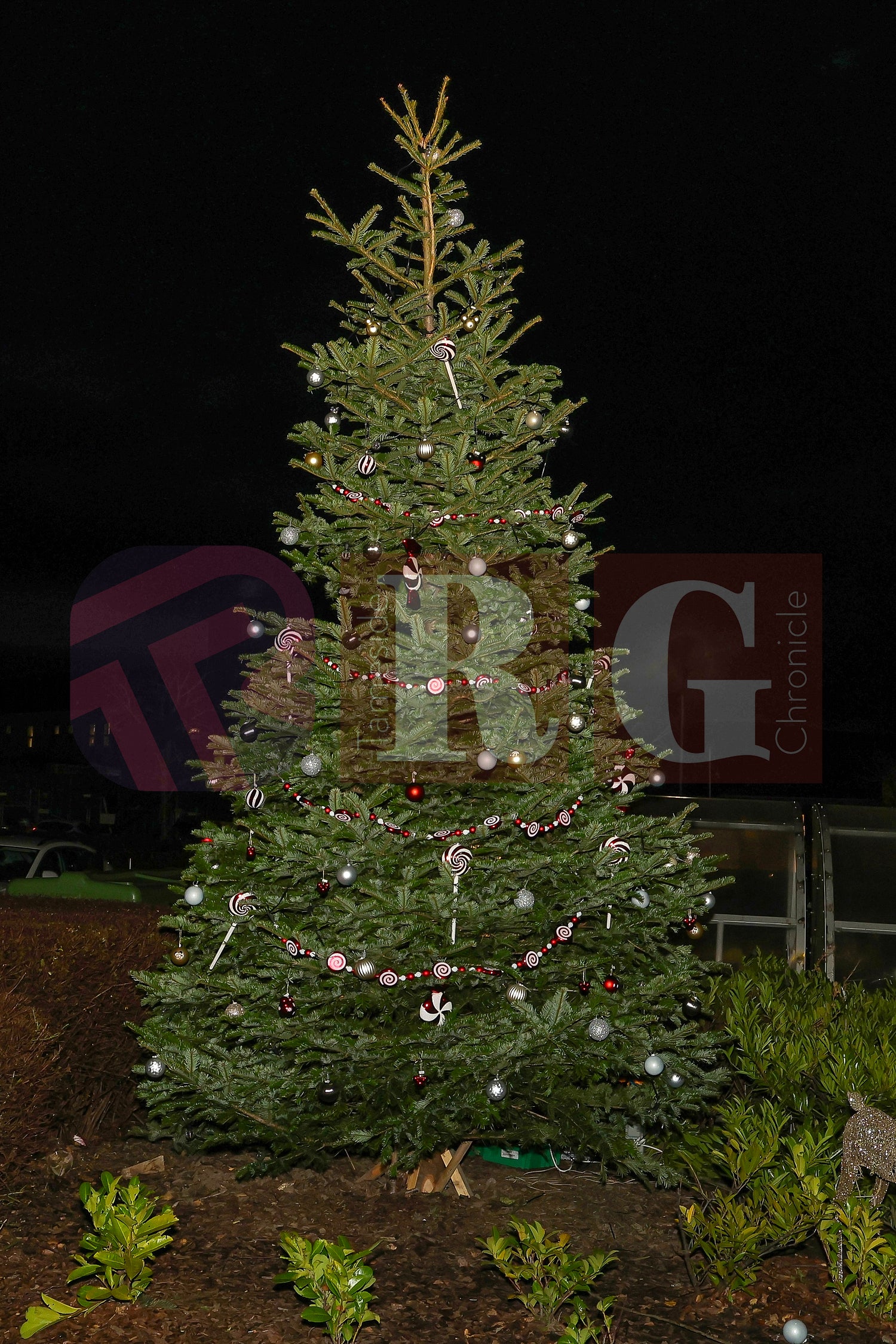 LIGHT SWITCH ON TAMESIDE HOSPITAL 2024 (6).JPG