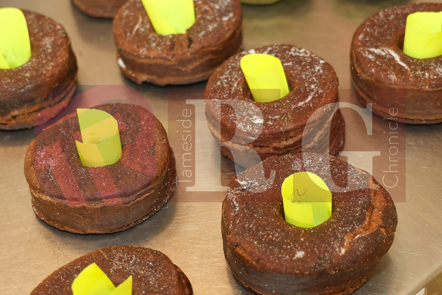 WILLOW WOOD GUINNESS WORLD RECORD 2025 (4).JPG