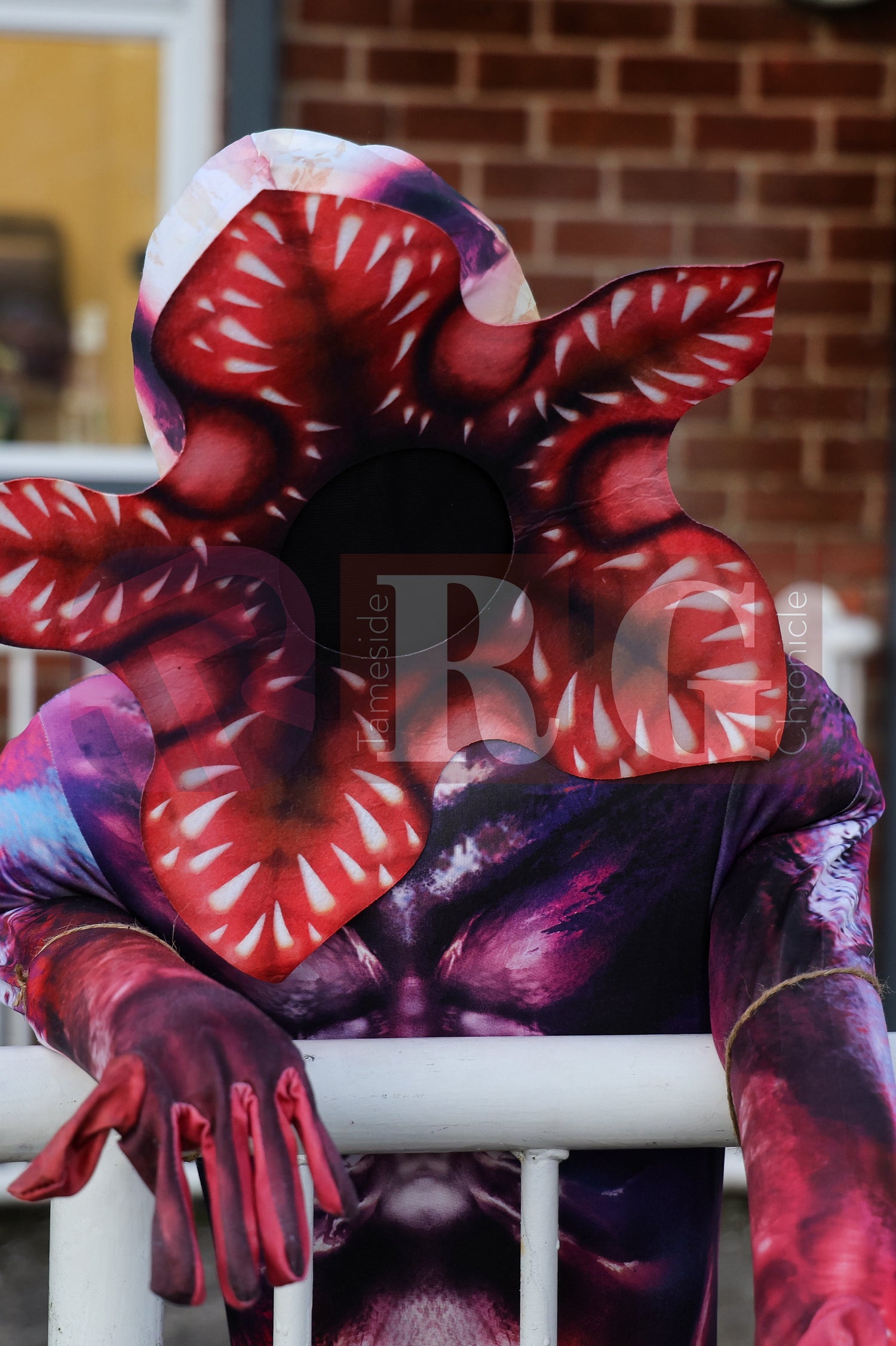 HALLOWEEN WATERLOO PARK (5).JPG