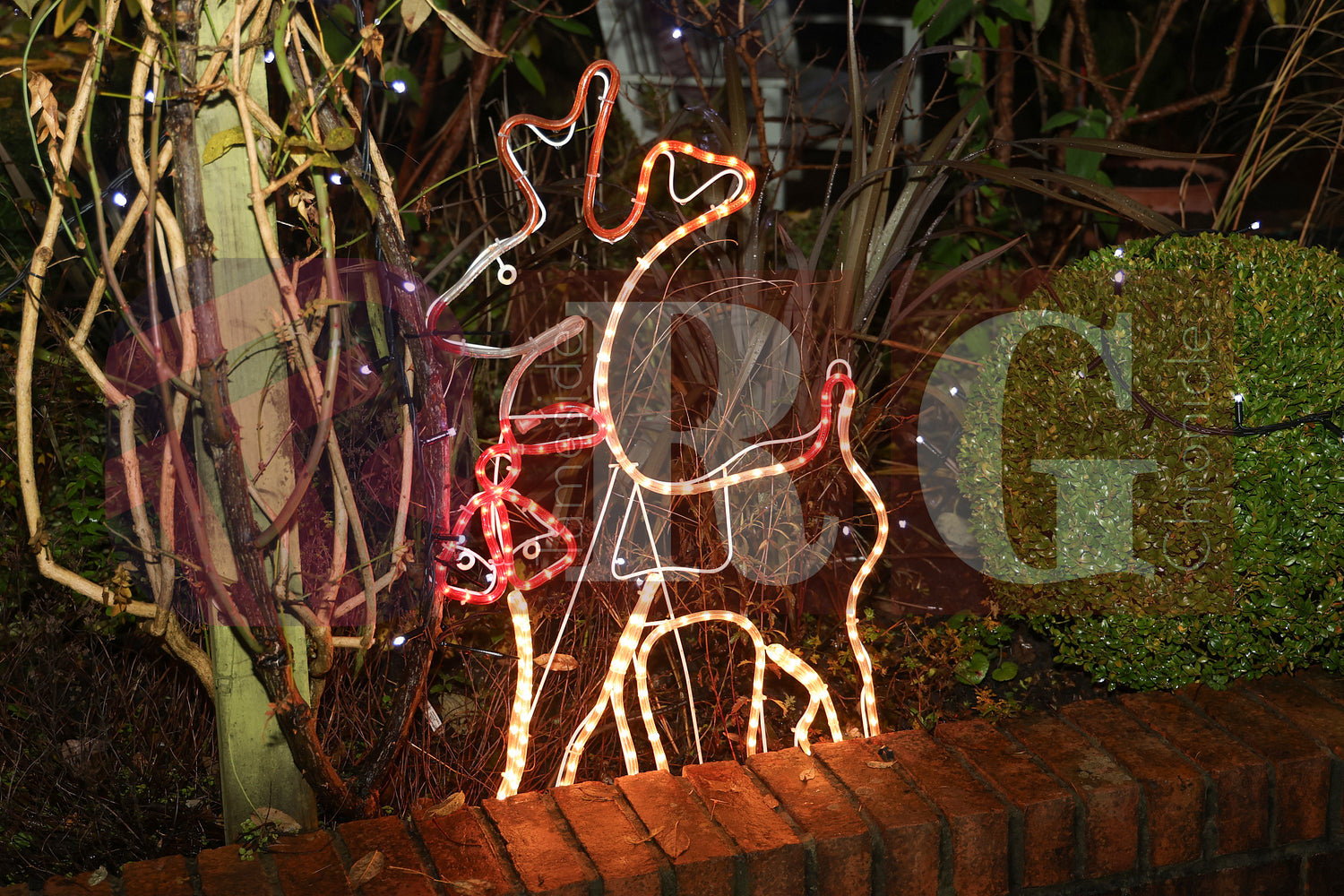 WILLOW WOOD LIGHTS 2024 (30).JPG
