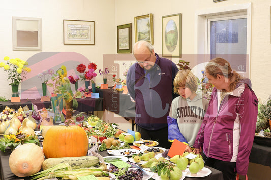 TINTWISTLE GARDENERS SHOW (38).JPG