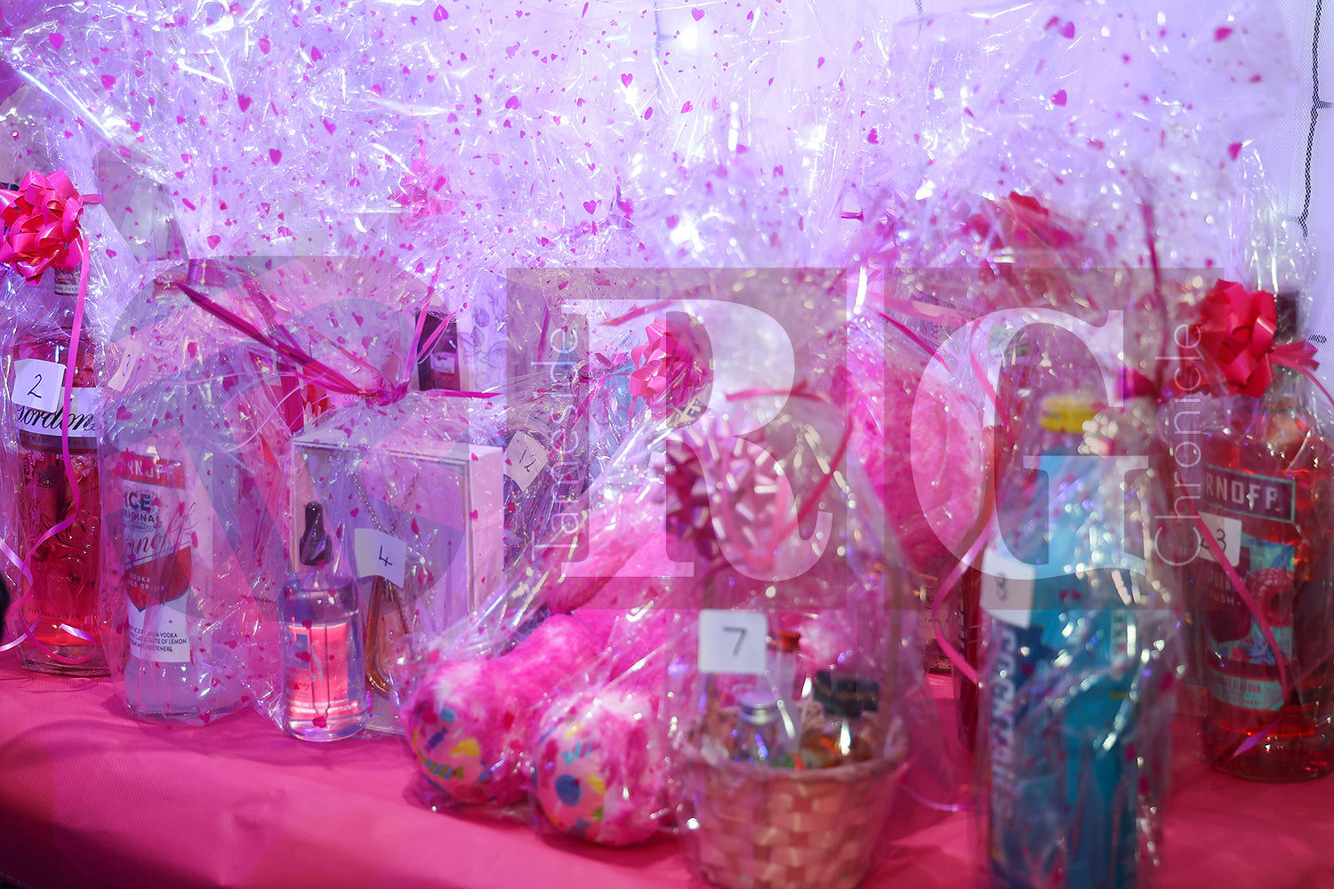 PINK PARTY NIGHT 2024 (47).JPG