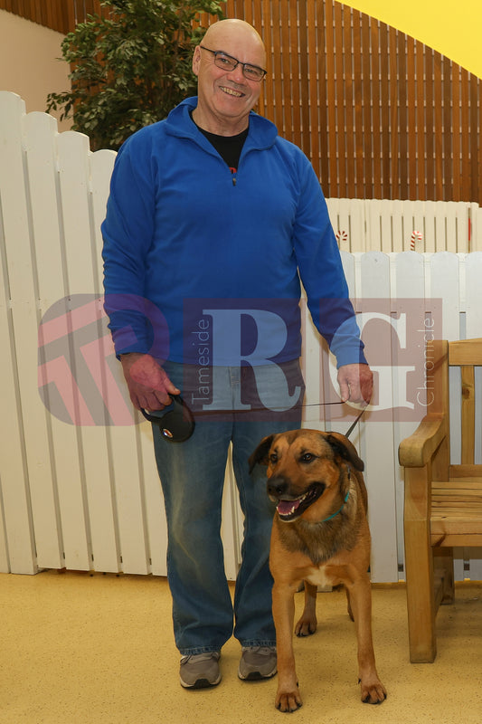 DOG TRUST DENTON XMAS (63).JPG