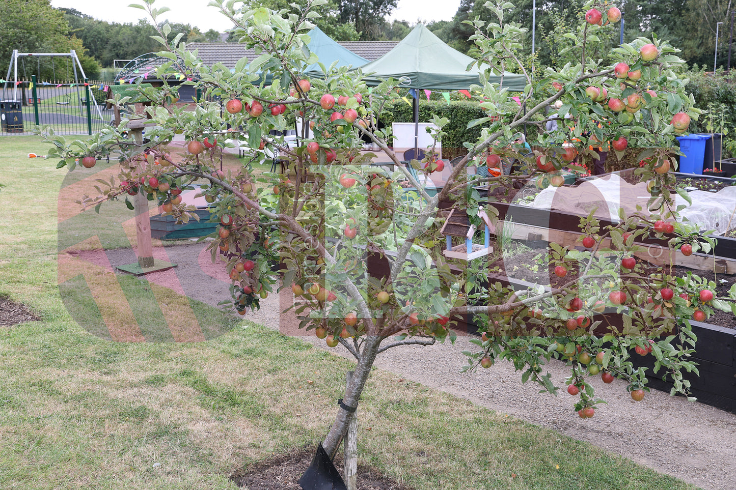 WATERLOO PARK BRITAIN IN BLOOM 2025 (4).JPG