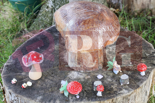 THE PANTRY OPENING SUNFLOWER DAY NURSERY (33).JPG