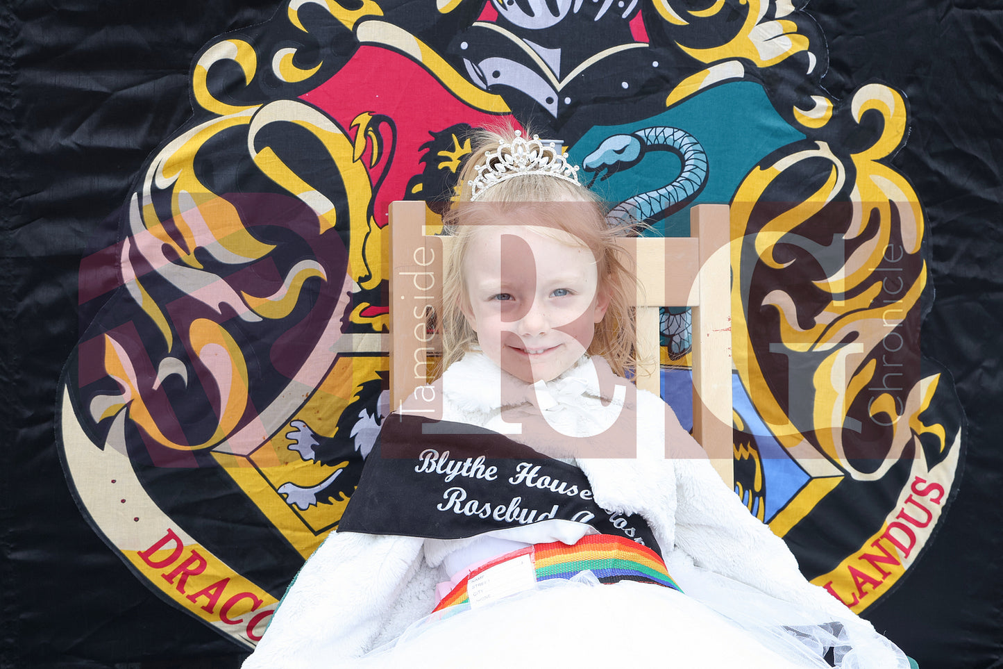 STALYBRIDGE CARNIVAL 2025 (6).JPG