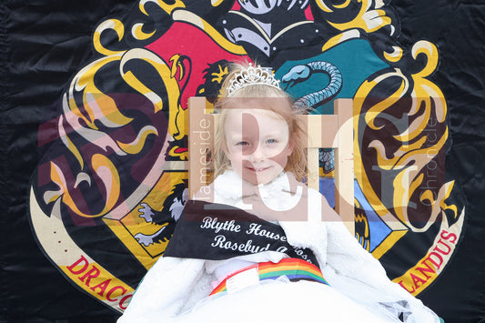 STALYBRIDGE CARNIVAL 2025 (6).JPG