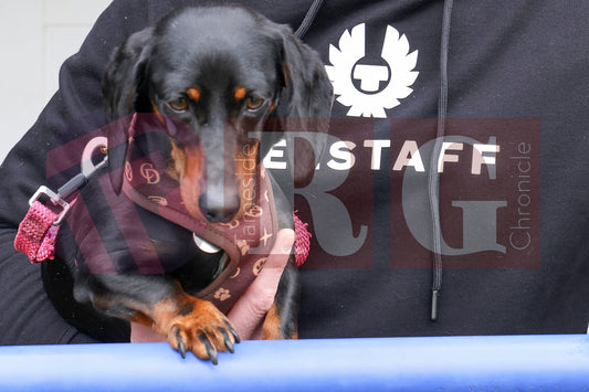 STEPH GORTON FUNDRAISER GNE  2025 (100).JPG