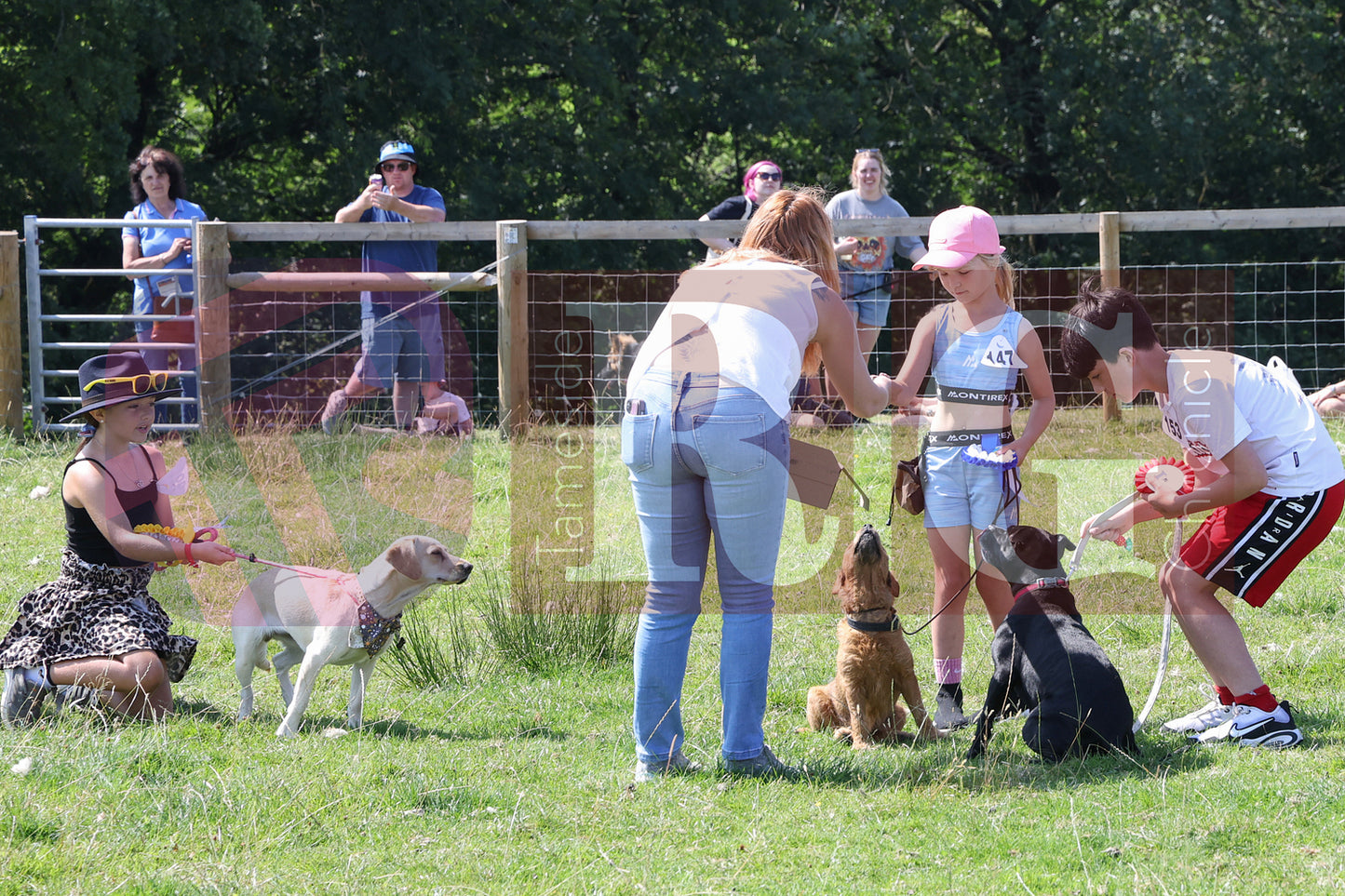 MOTTRAM SHOW  2025 (109).JPG