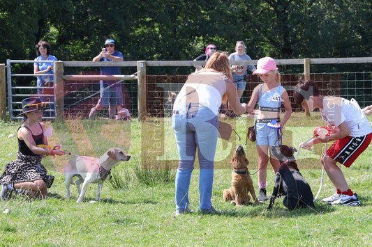 MOTTRAM SHOW  2025 (109).JPG