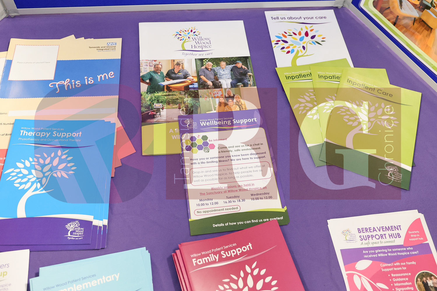 HYDE TOWN HALL DEMENTIA WORKSHOP (21).JPG
